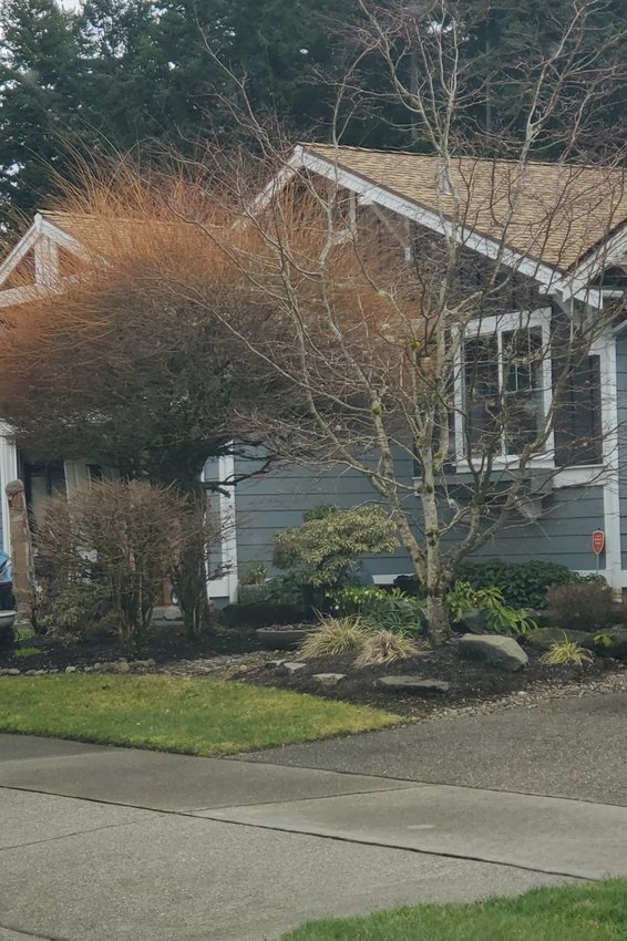 This home at 8349 Bainbridge Lp NE in Lacey was sold recently by Linda Heiser for $445,000