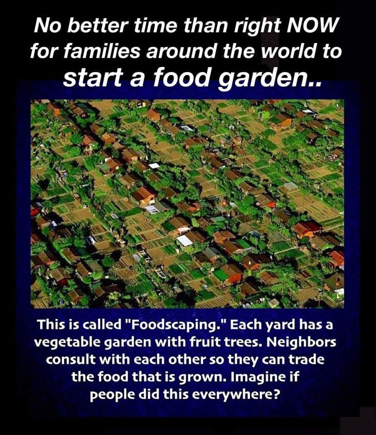Food Prosperity Central's graphic explaining foodscaping.