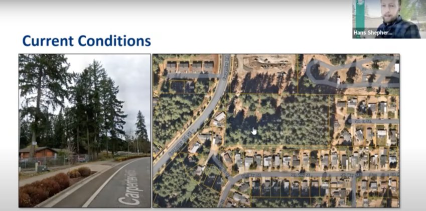 The Lacey City Council is set to decide on August 4 whether to rezone five acres of primarily forested land to Moderate Density Residential.