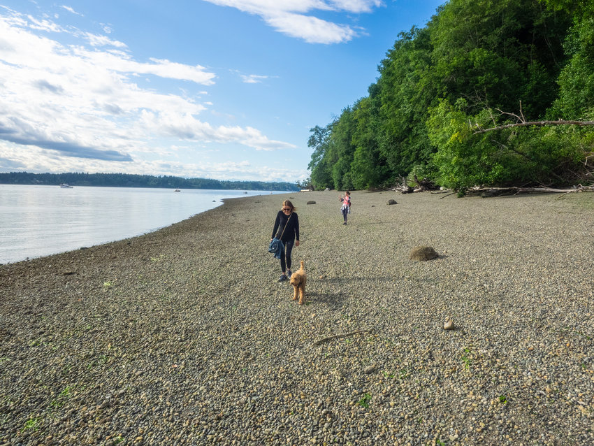 Burfoot Park covers 50 acres of property with 1,100 feet of saltwater beach frontage on Budd Inlet of the Puget Sound.