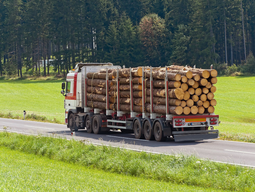 Image of a truck transporting timber.