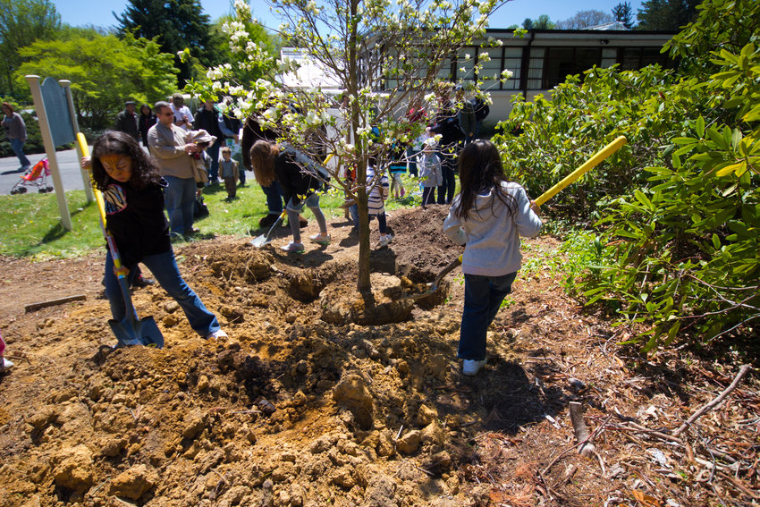 At the city council meeting on September 27, 2022, Olympia designated Saturday, October 8, 2022, as Arbor Day. Image of children and families planting trees.