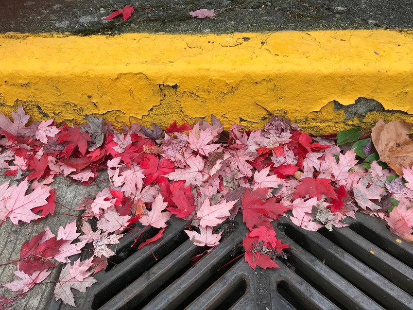 For people in town, it&rsquo;s time to start raking street drains.