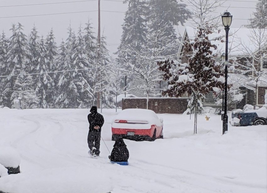 Depending on how deep the snow gets, some roads will be much harder to drive on. Photo from a 2019 snowstorm in Olympia.