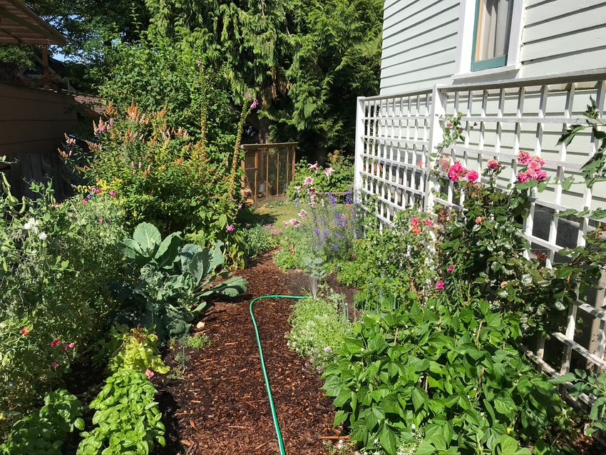 Garden paths don&rsquo;t have to be paved; a shallow trench filled with bark is softer, less expensive, and easier to move or widen.