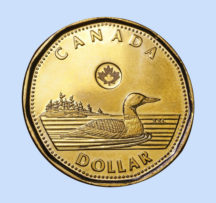 Canada's one-dollar coin features a Common Loon, a common waterfoul in Canada's wilderness areas and the same species that likes to visit Thurston County every March.