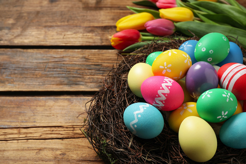 Colorful Easter eggs in a decorative nest and tulips on wooden background, closeup.