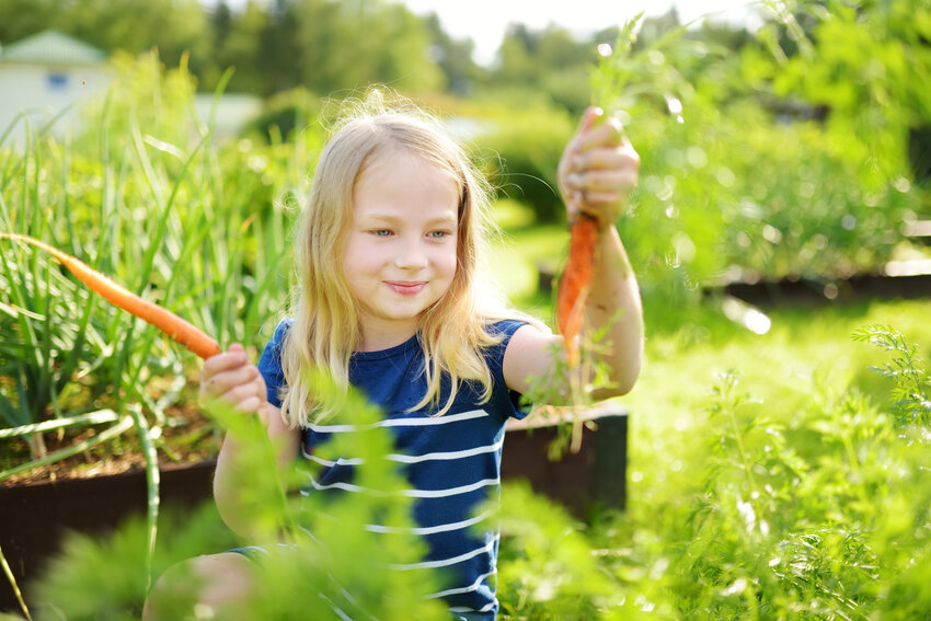 Taking children into our gardens can feed their sense of wonder, and let theirs feed ours.