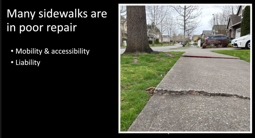 Many sidewalks are in poor repair. Issues become mobility and accessibility and liabilities to the city.