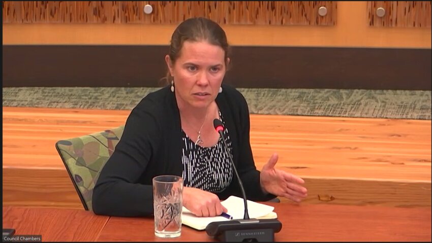 Olympia Councilmember Dani Madrone is eyeing the possibility of code changes in commercial parking.