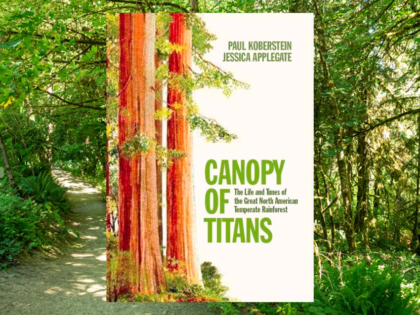 Canopy of Titans, The Life and Times of The Great North American Temperate Rainforest