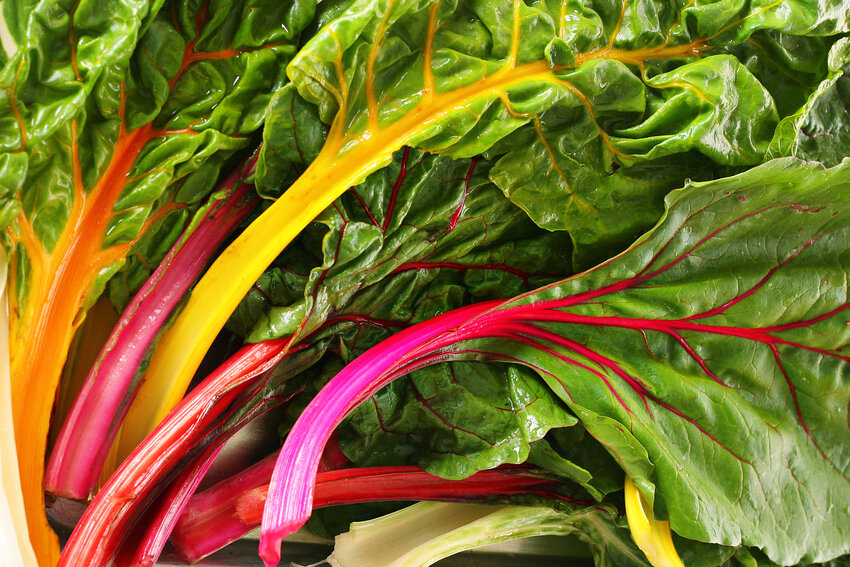 Rainbow chard is more like spinach than kale &mdash; good in salads, soups and stews, and steamed in a splash of chicken broth and dressed in gorgonzola or a little lemon and garlic.