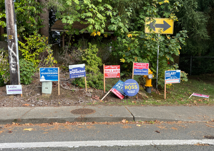 Political yard signs are a traditional method of campaigning, but at what cost to the environment and natural beauty?