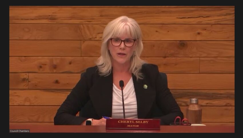 At the Olympia City Council meeting held Tuesday, Nov. 14, 2023, Mayor Cheryl Selby voted against the rental registry ordinance. &quot;It feels like we're using a baseball bat to kill a mosquito.&quot;