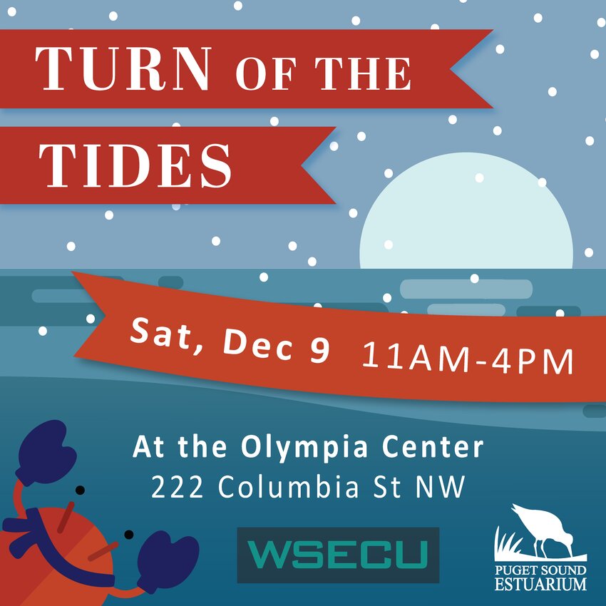 The Turn of the Tides winter festival is an event that fosters a sense of community and appreciation for the natural world.