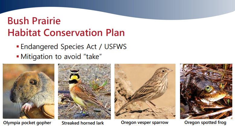 A slide from the port staff&rsquo;s January 8 presentation showed that the port and Tumwater&rsquo;s habitat conservation plan details mitigation efforts for four species listed under the Endangered Species Act.