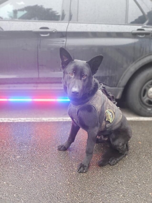 TCSO&rsquo;s K9 Igo together with WSP&rsquo;s airplane &lsquo;Smokey&rsquo; captured two fleeing suspects, one of whom have outstanding warrants.