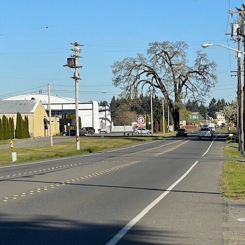 This image, taken from the northbound side of Old Highway 99, shows the Meeker Oak's proximity to the historic airplane hangar at Olympia Regional Airport.