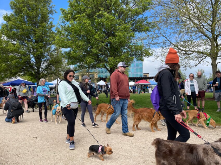 Several hundred people are expected to walk in the 2024 Paws 4 A Cause event on May 4. This photo is from the 2023 event.