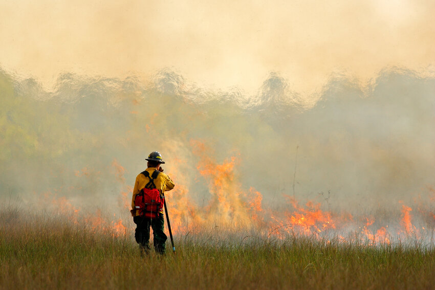 Wildfire sweeping across prairie grass, a firefighter is shown close to the fire.