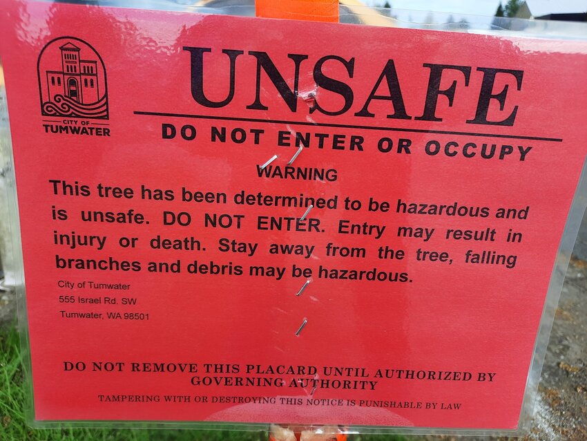 Sign that was posted under the Davis Meeker oak stating it being unsafe. The sign was posted May 23.