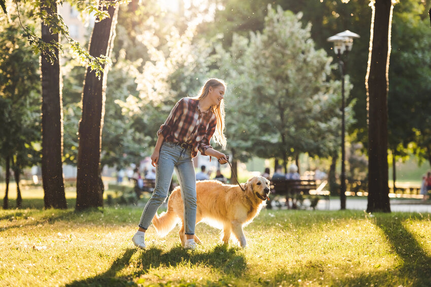 A happy woman in a plaid shirt walking a dog in a park on a leash