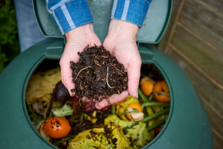 Close-up of man's hands over a compost bin holding compost made from broken down household food waste