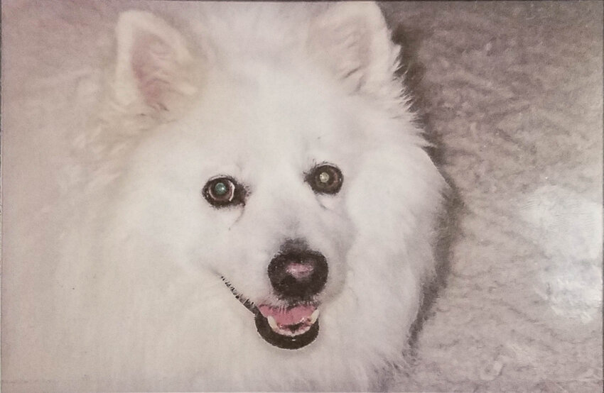 A happy Toshiro