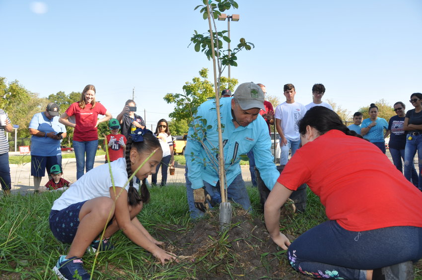 Trees for Houston is a nonprofit operating in Greater Houston, including Katy, that encourages the planting of trees through community planting events, donations of trees to municipalities and other activities.