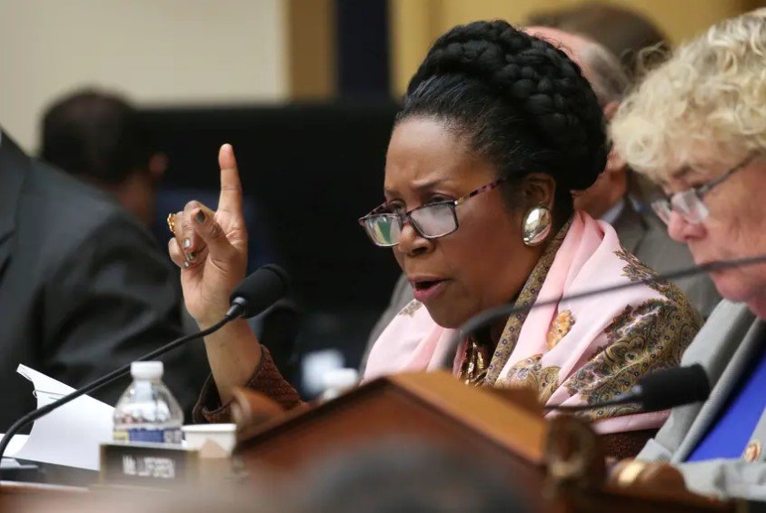 U.S. Rep. Sheila Jackson Lee speaks at a House Judiciary Committee meeting. It was unclear what the Houston Democrat did to spur the arrest, though she said, &ldquo;I engaged in civil disobedience.&rdquo;