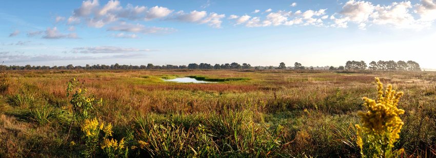 Restored wetlands on the Katy Prairie Conservancy&rsquo;s Indiangrass Preserve. The conservancy works to preserve and restore wetlands north of the city of Katy to ensure that the region&rsquo;s natural features are preserved for future generations to enjoy.