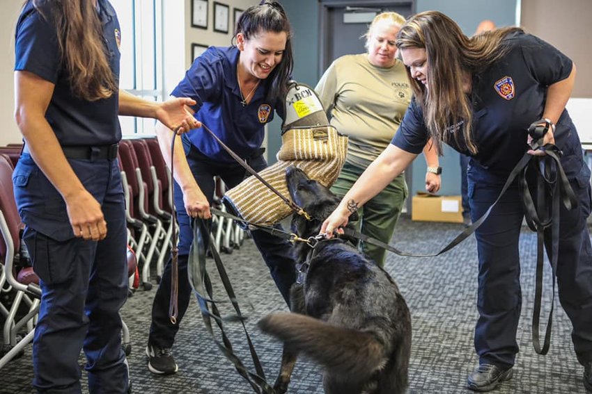 Trainees at Harris County Emergency Services District 48 familiarize themselves with interactions with a K9 officer during a first aid course for dogs. The course is designed to help first responders support K9 officers that may be wounded or exposed to harmful substances during the line of duty.