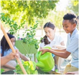 The Texas A&amp;M AgriLife Extension is offering a mid-summer conference featuring lessons learned from the garden at Stephens Elementary School. (Texas A&amp;M AgriLife Extension)