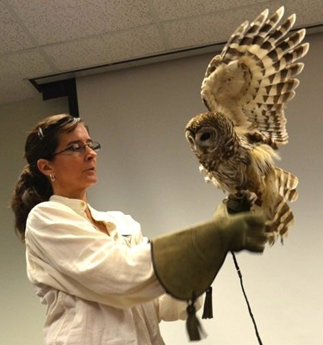 Mary Anne Morris, Director of Wild Bird Adventures, will talk about the sights, sounds, and natural history of owls on July 18 at 3 p.m. at the Cinco Ranch Branch Library at 2620 Commercial Center Blvd, Katy.