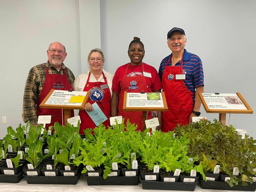 Join with other gardening enthusiasts by becoming a Fort Bend Master Gardener. Applications are now open for the fall 2024 Extension Master Gardener training class through the Texas A&amp;M AgriLife Extension of Fort Bend County. Class size is limited and the deadline to register is 2 p.m. Friday, July 19.