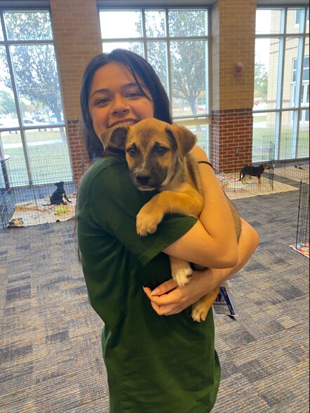 Sofia Mateen, club president for Motivating Minds at Seven Lakes High School in Katy, snuggles with one of the eight puppies brought to campus by local shelter Special Pals for a &ldquo;pups N Popcorn&rdquo; event in December.