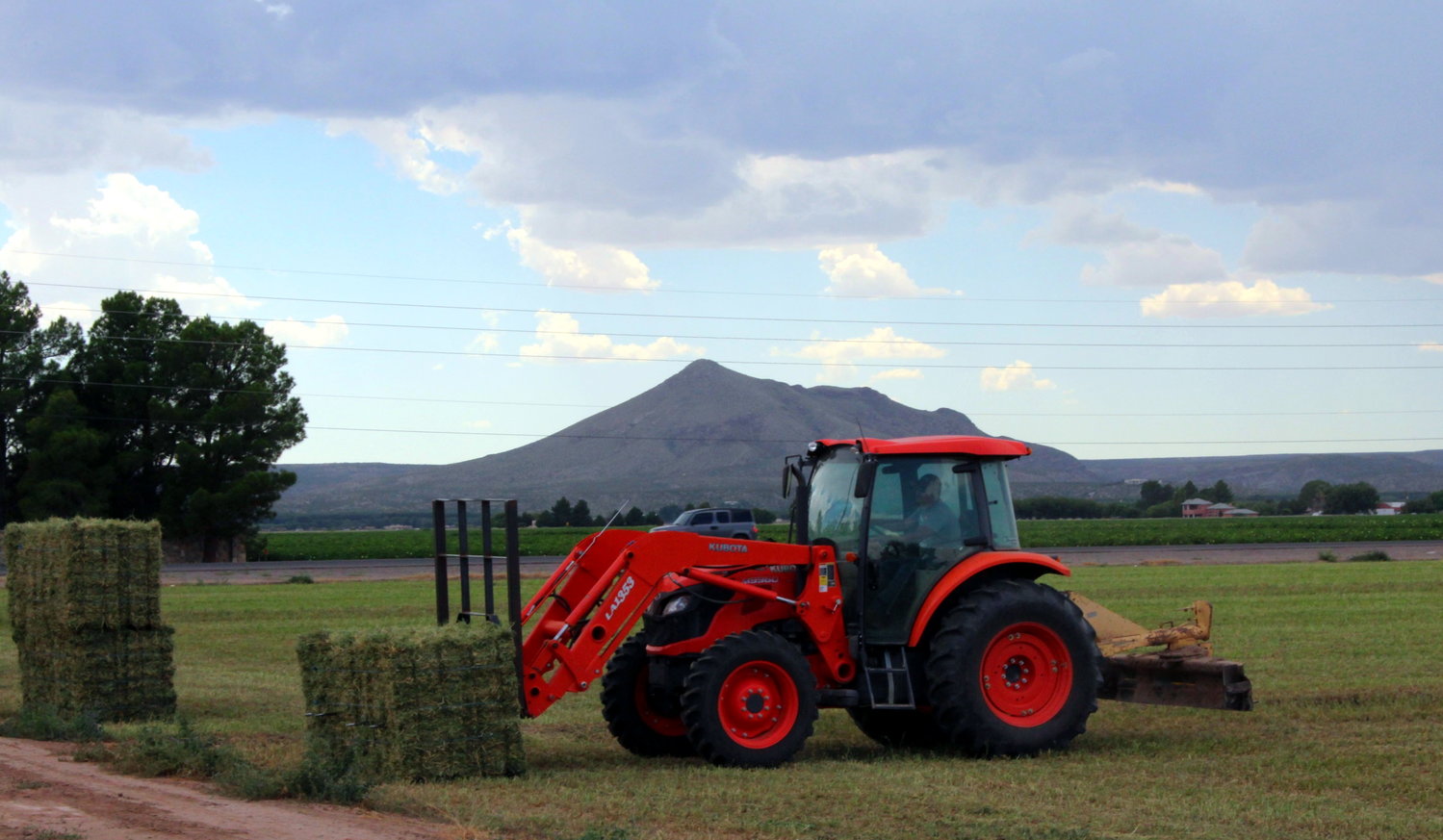 The New Mexico Hay and Livestock Co. harvest alfalfa in the Mesilla Valley.