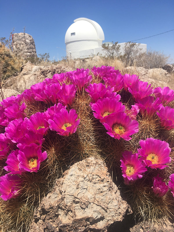 Reader Photo of the Week | Las Cruces Bulletin