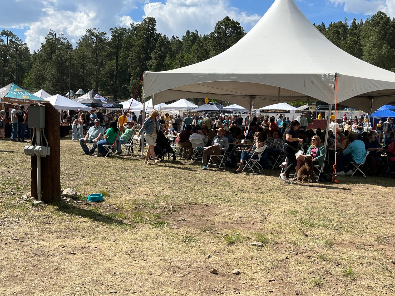 Cloudcroft Beerfest: a weekend in among the trees | Las Cruces Bulletin