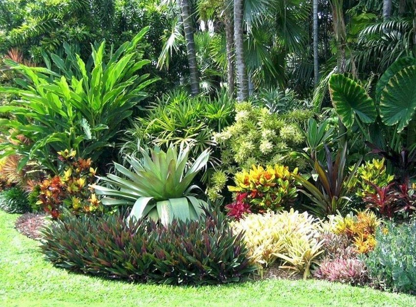 Kathy’s Gardening Guide: Tropical, Coastal, Mediterranean landscape ...