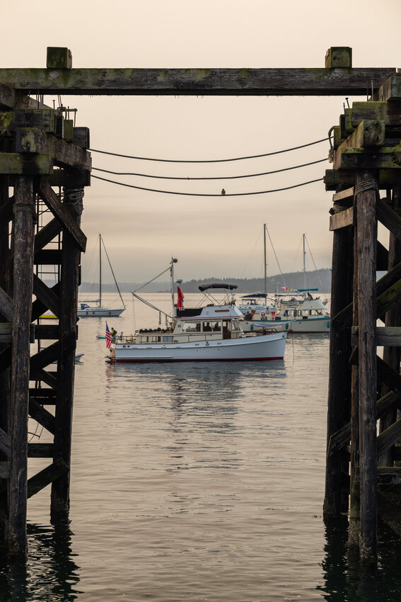 Wooden Boat Festival 2024