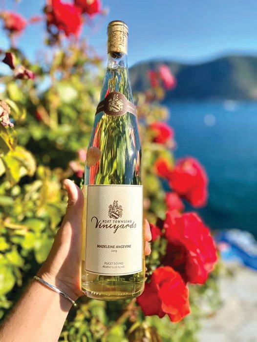 Port Townsend Vineyards recently announced the release of its 2019 Estate Madeleine Angevine, double gold winner at the Seattle Wine Awards.