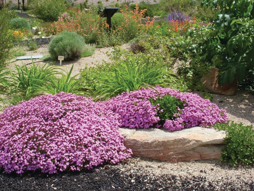 Creating defensible space and selecting fire-resistant plants can be part of your overall garden plan.