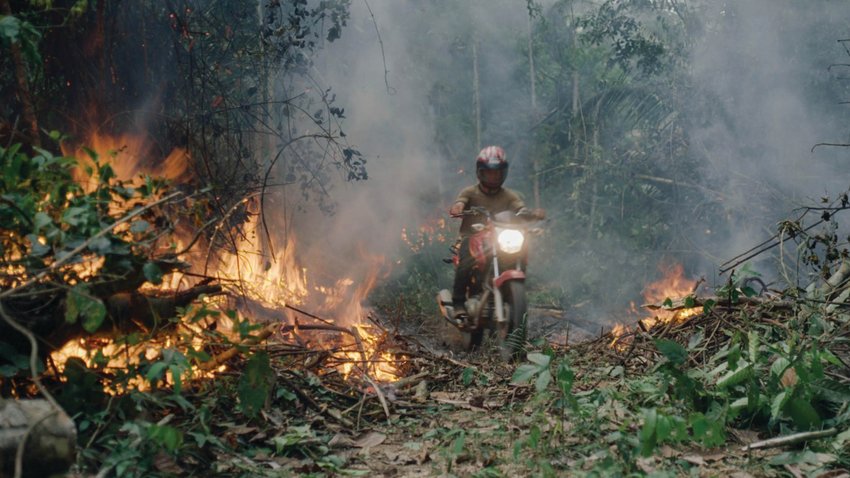 &ldquo;The Territory&rdquo; offers an immersive look at the fight of the Indigenous Uru-eu-wau-wau people against deforestation and illegal settlers in the Brazilian Amazon.