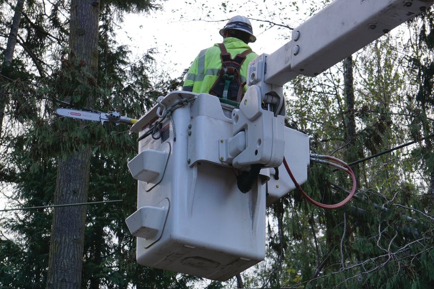 A PUD worker uses a chainsaw to cut through tree branches interfering with power lines in Jefferson County.