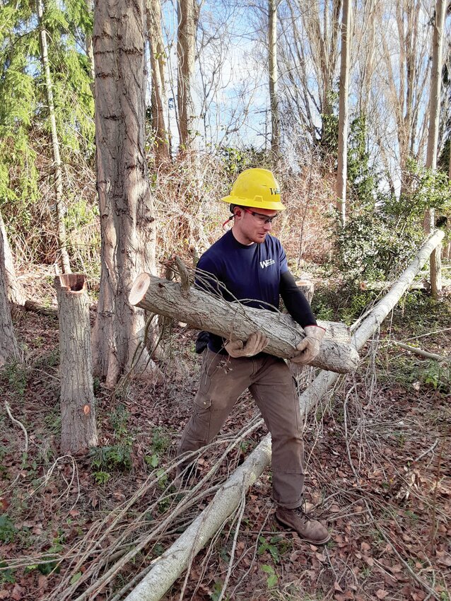 Conservation Corps crew members worked to remove invasive poplars from Kah Tai Lagoon Nature Park this month.