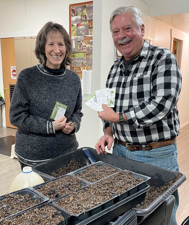Jefferson County Master Gardener Board Secretary Beth Marshall and Co-Chair Harry Hayward join a seed starting workshop at the WSU Classroom in Port Hadlock. Along with Food Bank Growers, they&rsquo;re starting seeds for flowers, herbs, and vegetables in preparation for their Plant Sale on May 4 from 9 a.m. to 1 p.m. in Chimacum School&rsquo;s Multipurpose room. Photo courtesy of Barbara Faurot