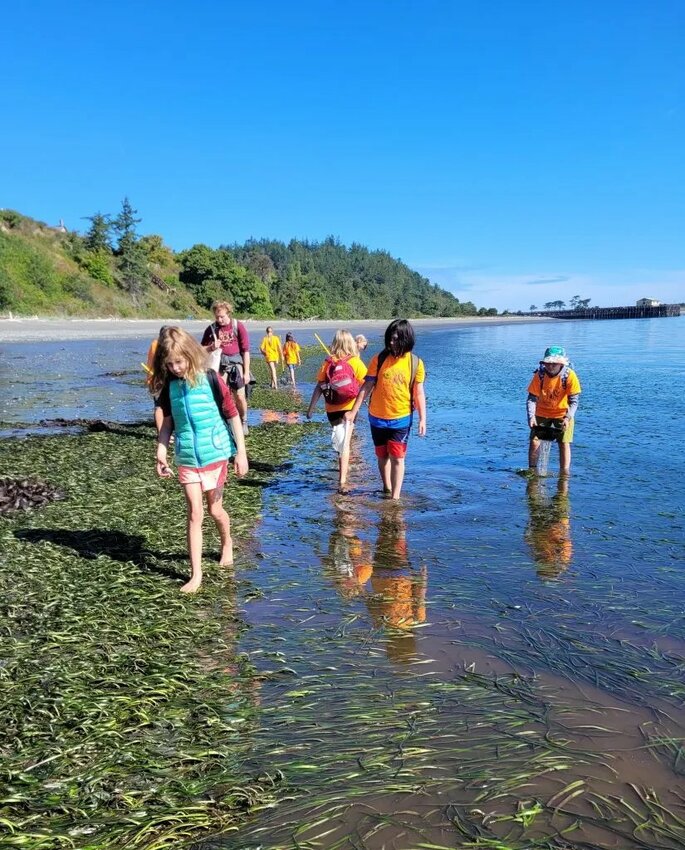 Young campers explore low tide in Port Townsend during one of last year&rsquo;s summer day camps, offered by the Marine Science Center. Courtesy photo