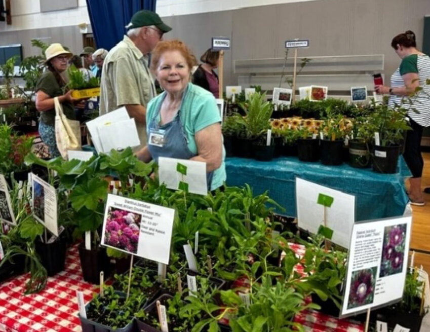 A volunteer surveys the inventory at the Tri-Area Garden Club (TAGC) Annual Plant Sale.