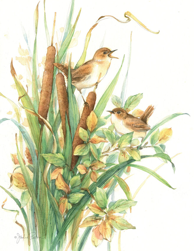 &ldquo;Marsh Wrens&rdquo; by Port Ludlow Art League&rsquo;s Artist of the Month Julie Paton.